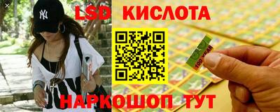 сатива Краснодар