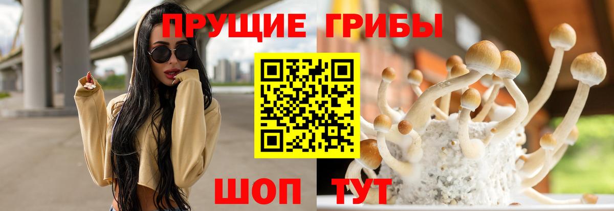 Галлюциногенные грибы ЛСД  наркота  Каспийск  Вход с VPN 
